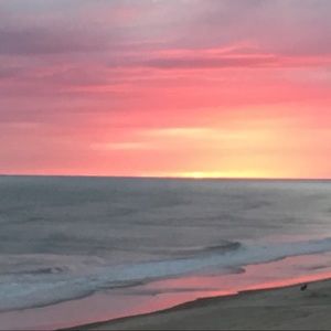 Meet your Posher, Lindsey